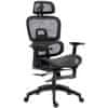 Homestar Pisarna stol ergonomski pisarniški stol 66x64x114 cm črna