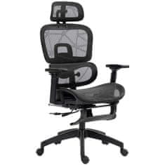 Homestar Pisarna stol ergonomski pisarniški stol 66x64x114 cm črna