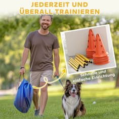 Homestar Komplet za agility za pse, 6-delni komplet za trening ovir, 80x22,5x30 cm, oranžna