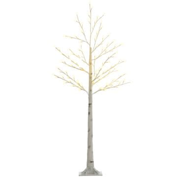 Homestar LED breza, 20x20x150 cm, bela