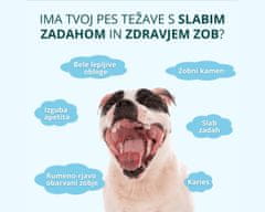 Fitocanin dentalni priboljšek za pse - dental forte (270 g, pribl. 90 kosov)