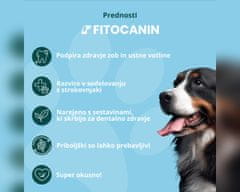Fitocanin dentalni priboljšek za pse - dental forte (270 g, pribl. 90 kosov)