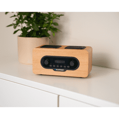 Blaupunkt DR10CR prenosni DAB radio