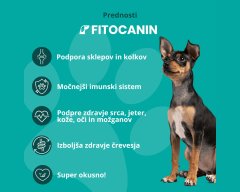 Fitocanin priboljšek za sklepe in kožo za pse - holistic forte 12 v 1 multivitamin (270 g, pribl. 90 kosov)