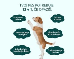 Fitocanin priboljšek za sklepe in kožo za pse - holistic forte 12 v 1 multivitamin (270 g, pribl. 90 kosov)