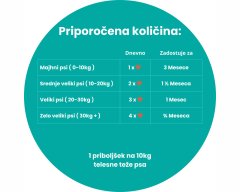 Fitocanin priboljšek za sklepe in kožo za pse - holistic forte 12 v 1 multivitamin (270 g, pribl. 90 kosov)