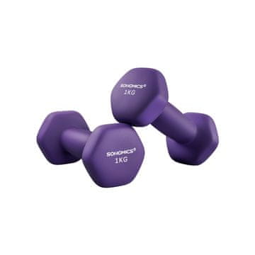 Songmics Set uteži 2 kosa 13.5x6.5 cm vijolična
