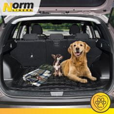 Norm Gumijasti pladenj za prtljažnik za Jeep Compass 2 2017-Nad