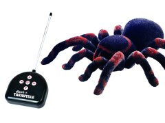 Wiky Strašljiva tarantula RC