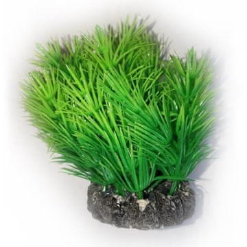 shumee AQUAEL ŠOPNA RASTLINA PR-402 4 (10 CM)