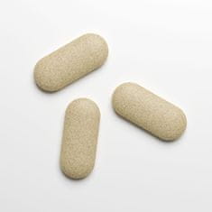 Cobeco Pharma Krema in tablete za erekcijo Penis XL Duo