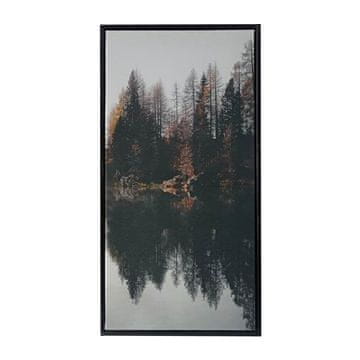 Homestar Stenska umetnina WALLY 30x60 cm gozd
