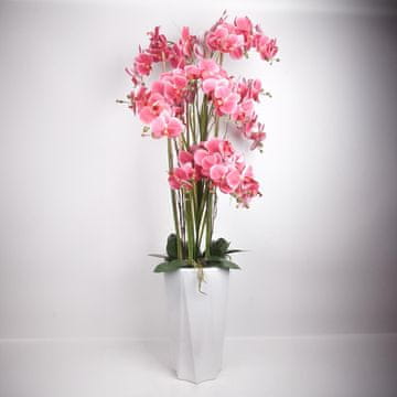 Homestar Orhidejni vrt Queen H132cm, roza