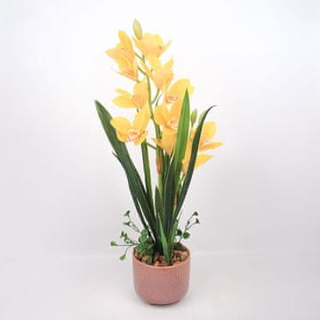Homestar Orhideja Garden Queen H70cm, rumena
