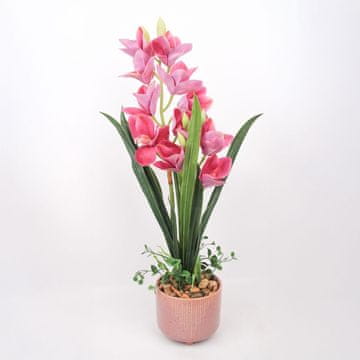 Homestar Orhideja Garden Queen H70cm temno roza