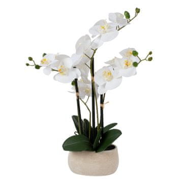 Homestar Orhideja veter v vrtu 55 cm bela