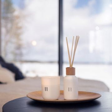 Homestar Dišeče palčke RENTO BIRCH 100 ml
