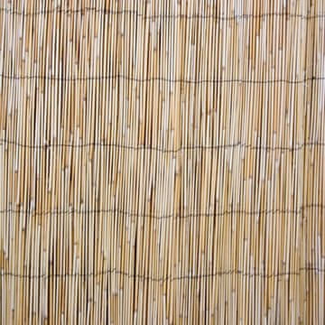 Homestar Trstična ograja 1,5x5 m