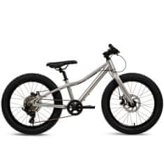 20-palčno aluminijasto gorsko kolo MTB, srebrno