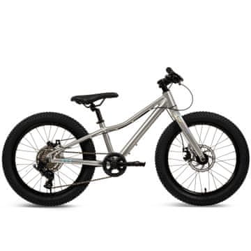 20-palčno aluminijasto gorsko kolo MTB, srebrno