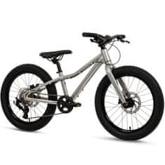 20-palčno aluminijasto gorsko kolo MTB, srebrno
