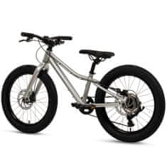 20-palčno aluminijasto gorsko kolo MTB, srebrno