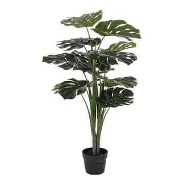 House Nordic Rastlina, Monstera, zelena