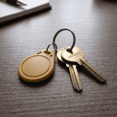 Obesek za ključe RFID MIFARE Classic 1K, 13,56 MHz, rumeni, 100 kosov, ABS plastika, ISO 14443A, za nadzor dostopa, beleženje časa, prehode