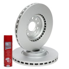 ZAVORNI DISKI spredaj 24013002201PR-PCS-MS | 2 kosa