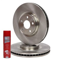 ZAVORNI DISKI spredaj 24013201891-PCS-MS | 2 kosa