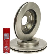 ZAVORNI DISKI spredaj 24011301351-PCS-MS | 2 kosa