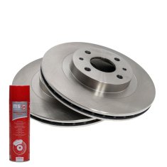 ZAVORNI DISKI zadnji 24011401451-PCS-MS | 2 kosa