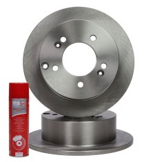 ZAVORNI DISKI zadnji 24011003181-PCS-MS | 2 kosa