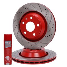 ZAVORNI DISKI zadnji 24012202421SE-PCS-MS | 2 kosa