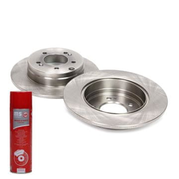 ZAVORNI DISKI zadnji 24011003362-PCS-MS | 2 kosa