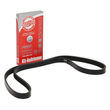 PK 4PK1065 Rebrasti jermen