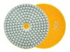 Polirni disk za mokro brušenje kamnitih izdelkov 100 mm GR100 (5/250)
