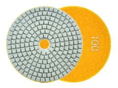 Polirni disk za mokro brušenje kamnitih izdelkov 100 mm GR100 (5/250)