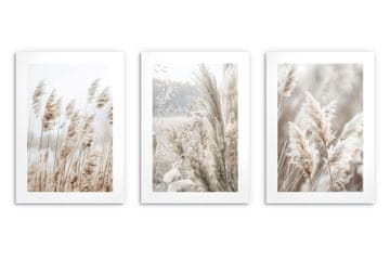 Stenski plakati za dnevno sobo, boho plakati pampas trava 3x 30x40cm