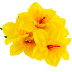 33 Šopek narcis CV22107 umetni cvetovi narcis za spomladanski aranžma v vazi