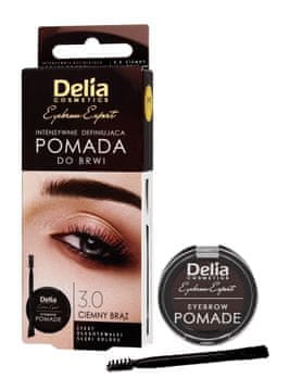 DELIA Cosmetics Eyebrow Expert pomada za obrvi temno rjava 1 kos