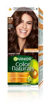 Garnier GAR COLOR N Barva št. 4.15 Zmrznjeni kostanj &