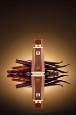 Parfumska voda za moške French Avenue Liquid Brun 100 ml (6290360375694)