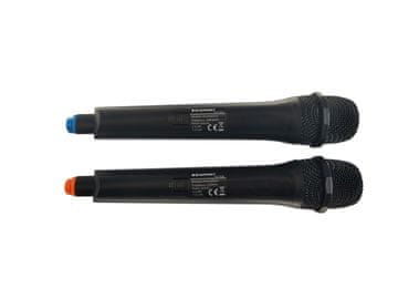 slomart Blaupunkt PB06DB prenosni zvočnik z Bluetooth in mikrofonom, črn