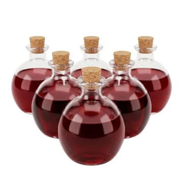 Northix Komplet 6 stekleničk z zamaški, prostornina 260 ml