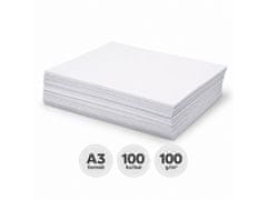 Astra Risalne liste Astra – A3 (100 g), 100 kosov, 111021002
