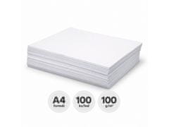 Astra Risalni listi Astra – A4 (100 g), 100 kosov, 111021001