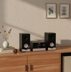 Blaupunkt Blaupunkt MS40.2BT mikro Hi-Fi sistem, črn