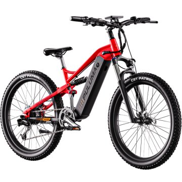 UNBRANDED PULUMA PH001 električno gorsko kolo 27,5", motor do 1000 W, baterija 48 V 20 Ah, polno vzmetenje in hidravlične zavore
