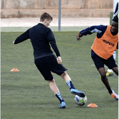Trizand trening/komplet vadbeni stožci s stojalom in torbo, 50 kosov (00023422)